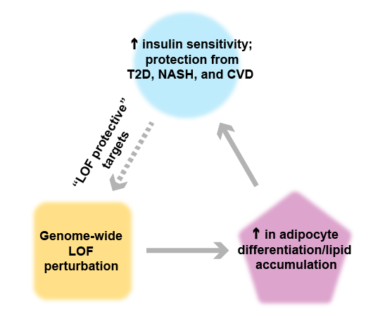 therapeutic target identification diagram